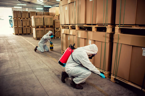 Best Bed Bug Extermination  in San Pablo, CA