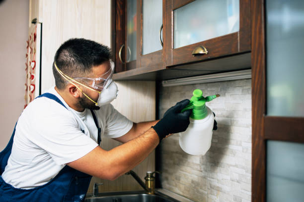 Best Affordable Pest Control Services  in San Pablo, CA