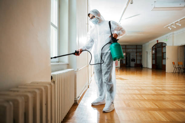 Best Local Pest Control Services  in San Pablo, CA