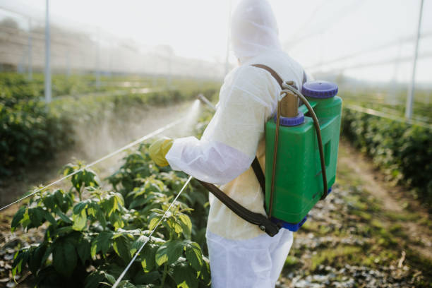 Best Commercial Pest Control Services  in San Pablo, CA